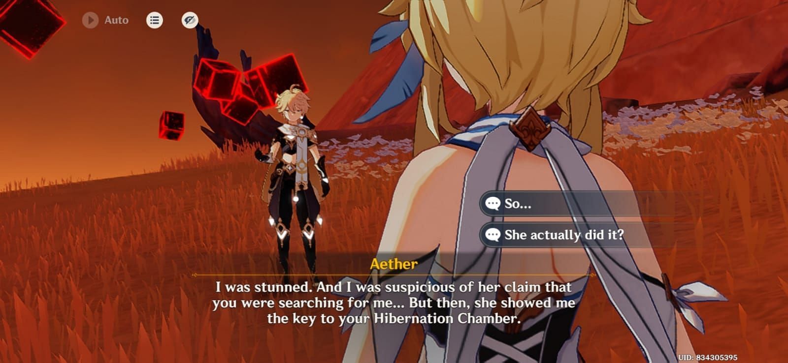 The sibling talking about the key Direidyth showed them in the past (Image via HoYoverse)